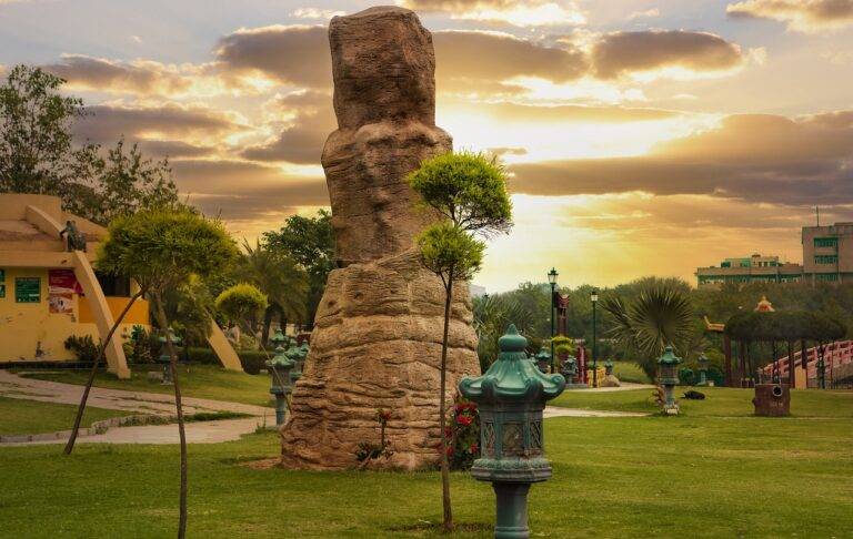 The Impact of Political Campaign Ads on Political Campaign Merchandise