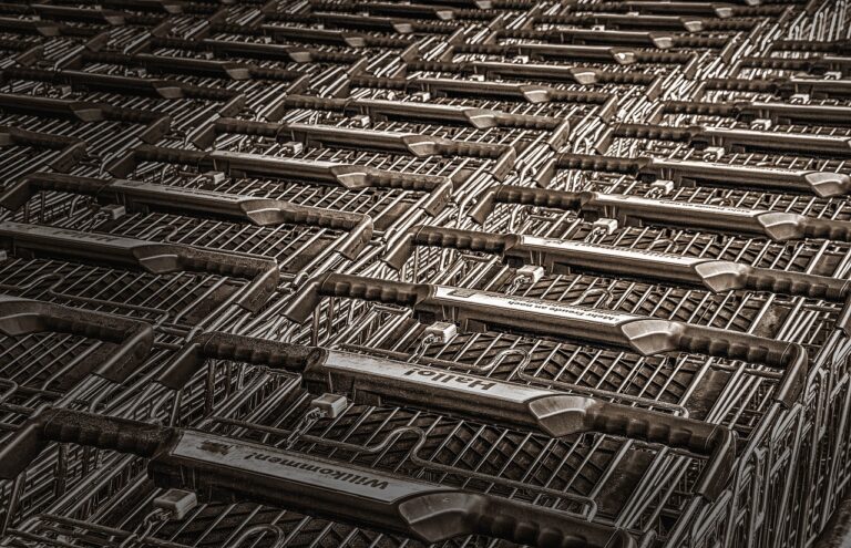 The Future of Autonomous Shopping Carts