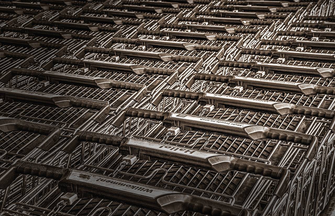 The Future of Autonomous Shopping Carts