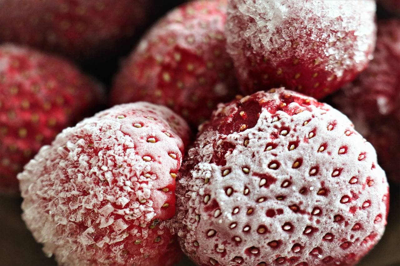 Exploring the Link Between Diet and Mental Health