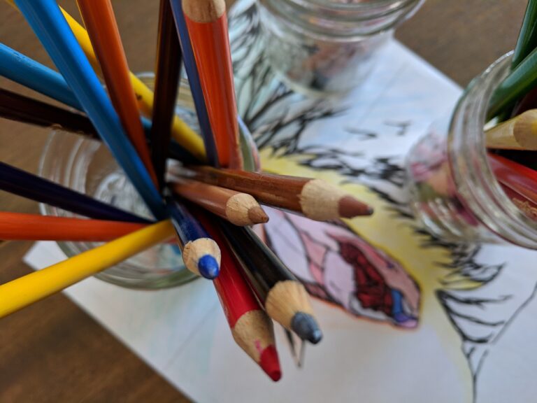 The Role of Libraries in Education