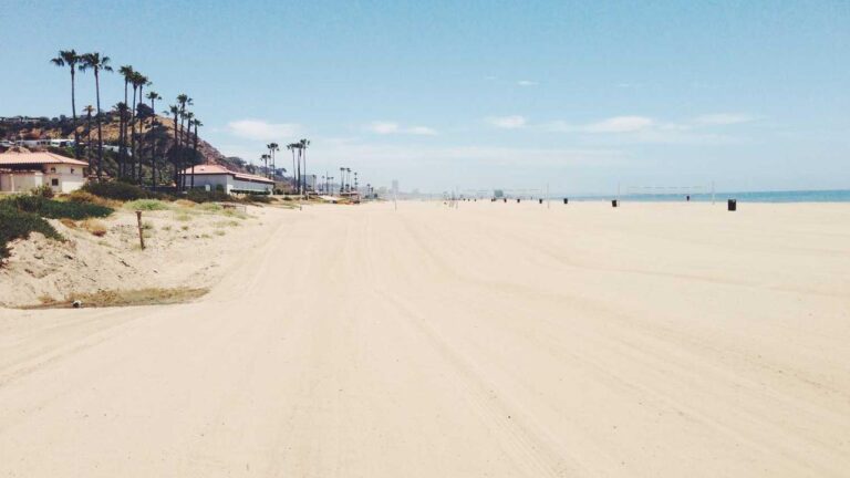 How To Register A New Login On 99Exch Com?